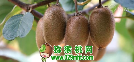 PG国际官方网站图片