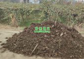 周至县PG国际猕猴桃有机肥种植有机PG国际猕猴桃
