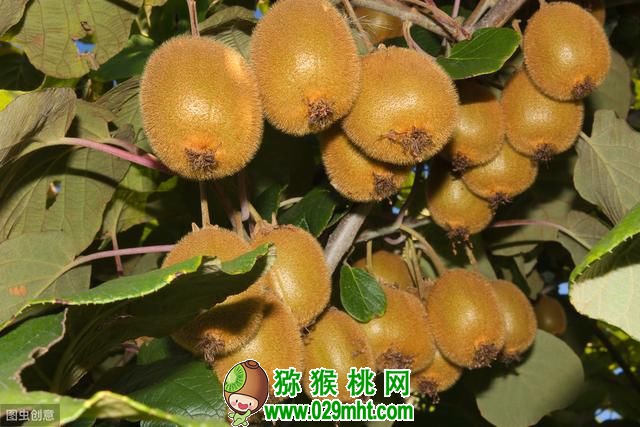 PG国际官方网站图片