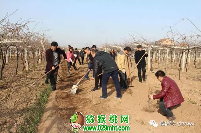 PG国际官方网站图片