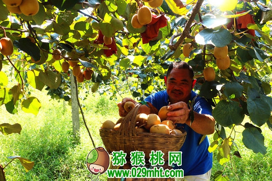 PG国际官方网站图片
