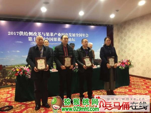 PG国际官方网站图片