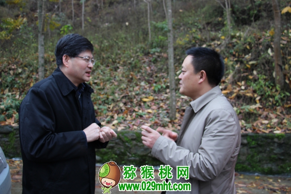 PG国际官方网站图片