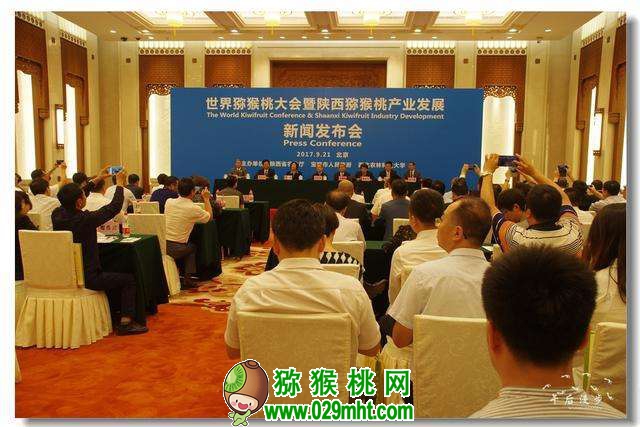 PG国际官方网站图片