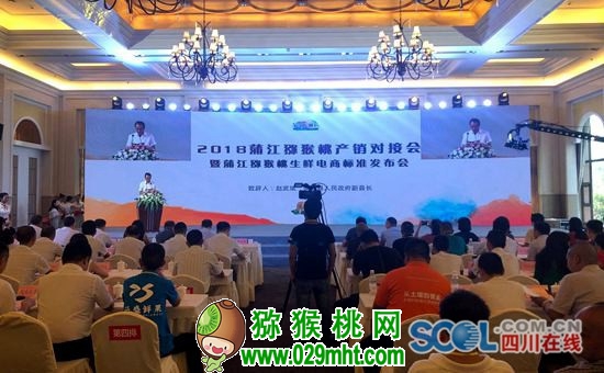 PG国际 32e06