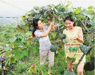 PG国际官方网站图片