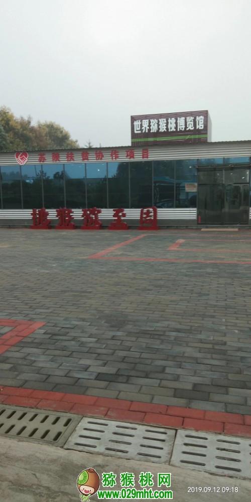 PG国际 9e768