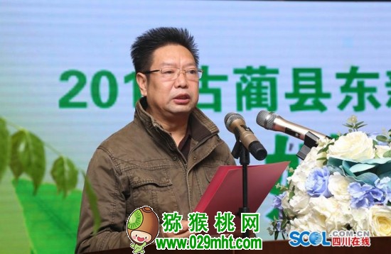 PG国际官方网站图片
