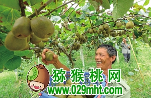 PG国际官方网站图片