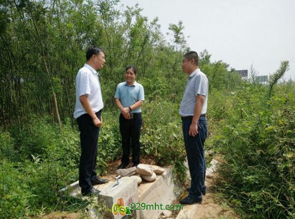 PG国际官方网站图片