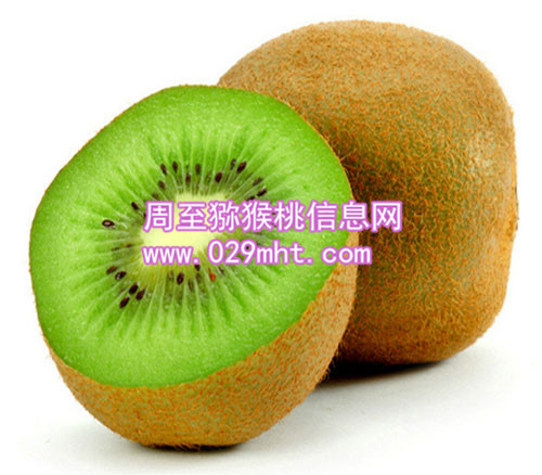 秦美PG国际猕猴桃