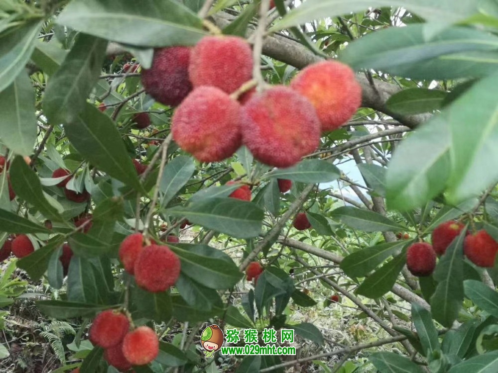 PG国际 07f7a