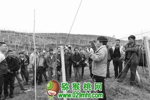 PG国际官方网站图片