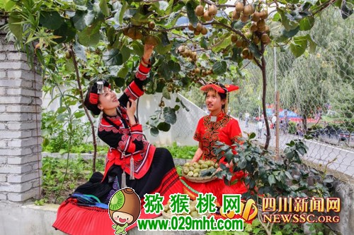 PG国际官方网站图片