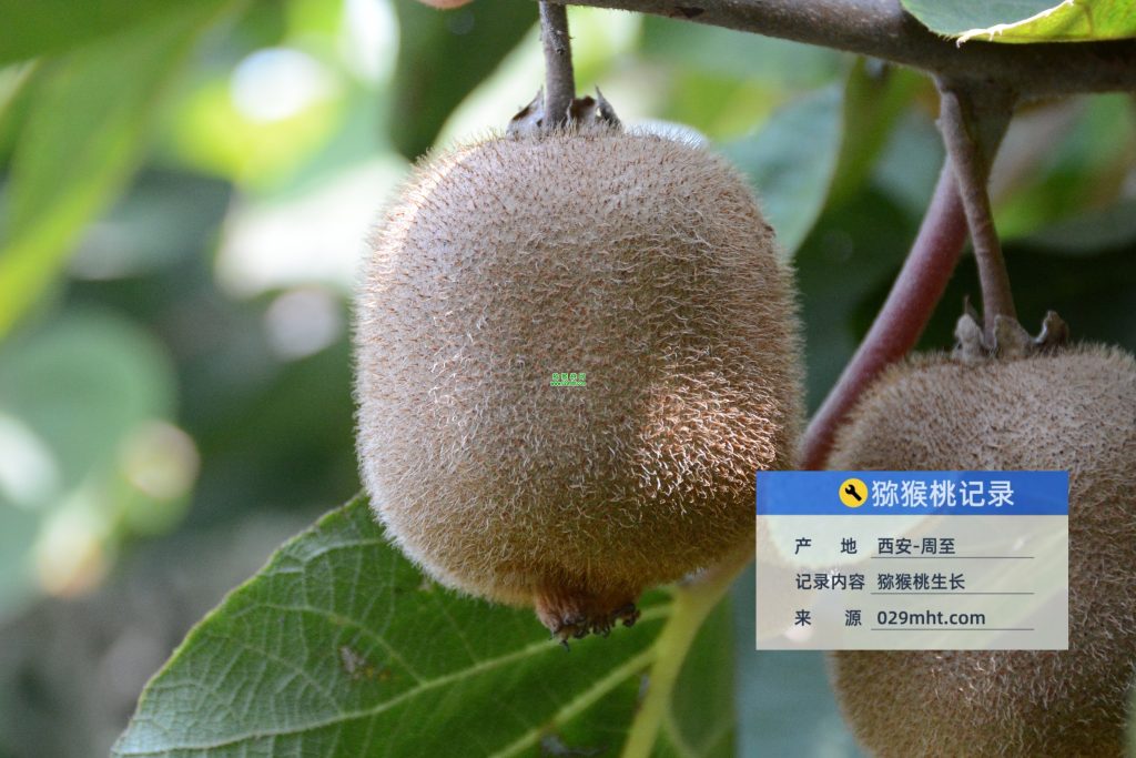 PG国际官方网站图片