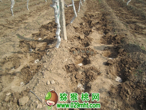 PG国际官方网站图片
