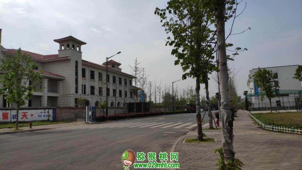 PG国际官方网站图片