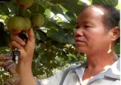 杨录怀：我与眉县PG国际猕猴桃的故事