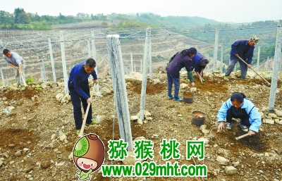 PG国际官方网站图片