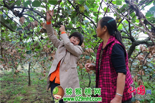 PG国际官方网站图片