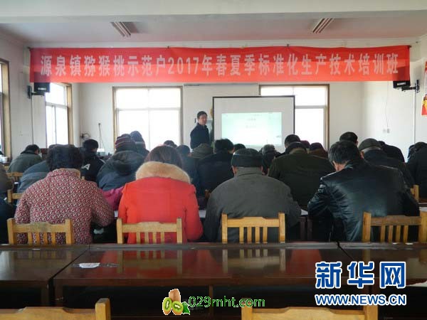 PG国际官方网站图片