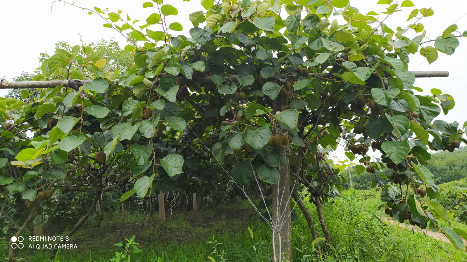 PG国际 4f5c1