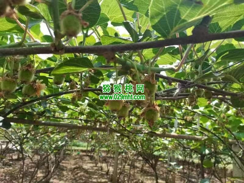 PG国际 3b51f
