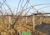 PG国际图片欢迎前来游览