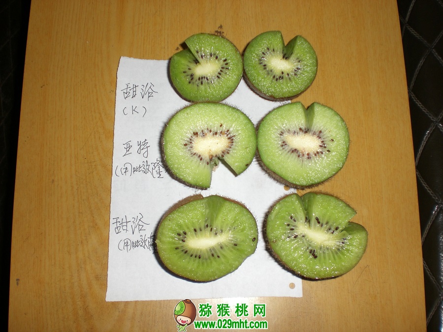 PG国际官方网站图片