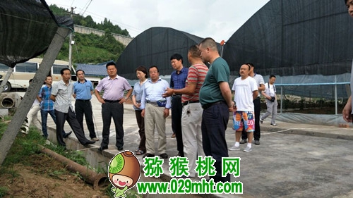 PG国际官方网站图片