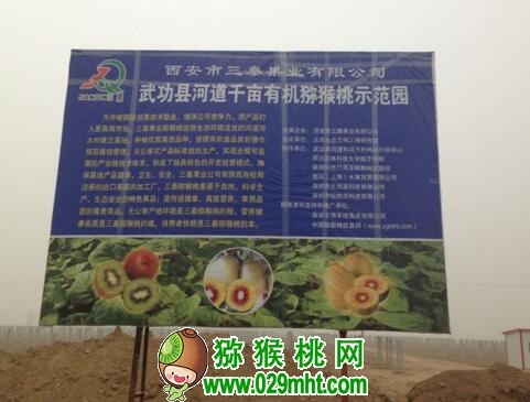 PG国际官方网站图片