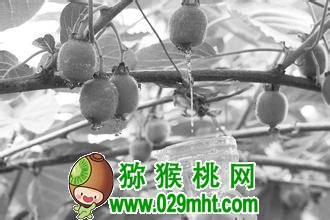 PG国际官方网站图片
