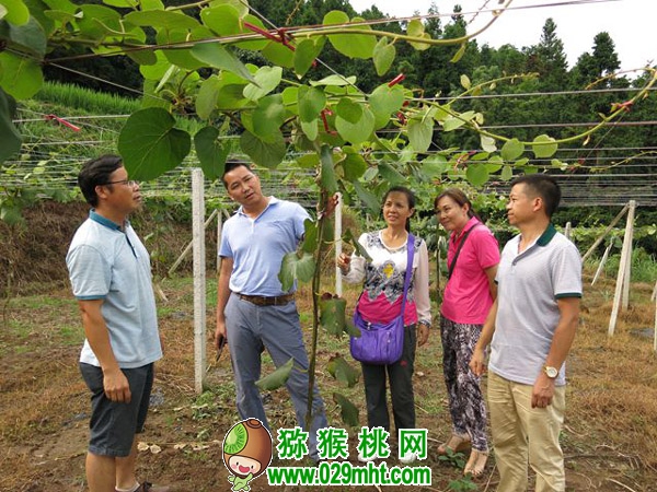 PG国际官方网站图片
