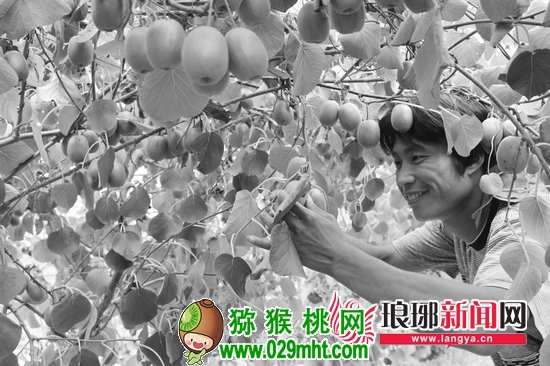 PG国际官方网站图片