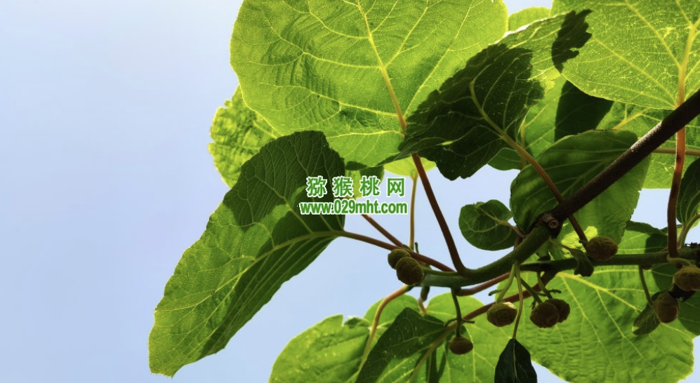 PG国际官方网站图片