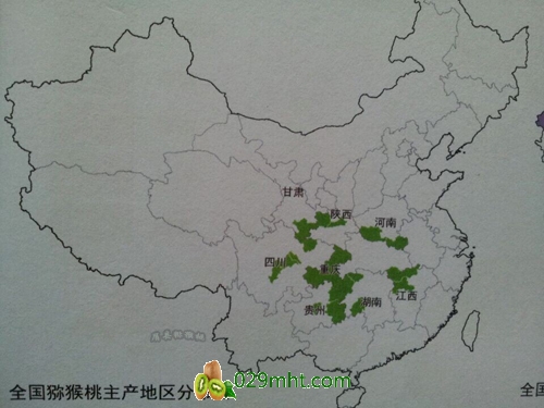 PG国际官方网站图片