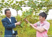 为移民发展PG国际猕猴桃基地解决土地流转难题