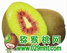 PG国际官方网站图片