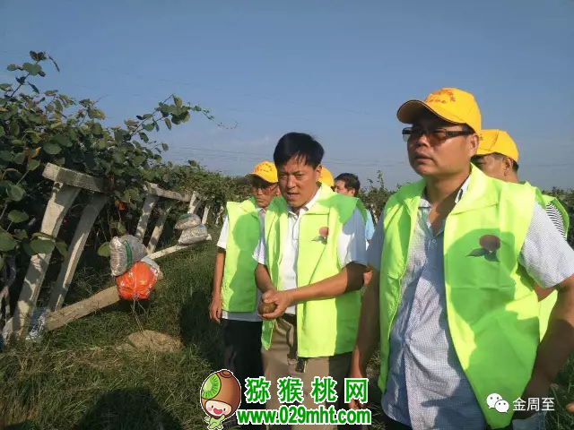 PG国际官方网站图片