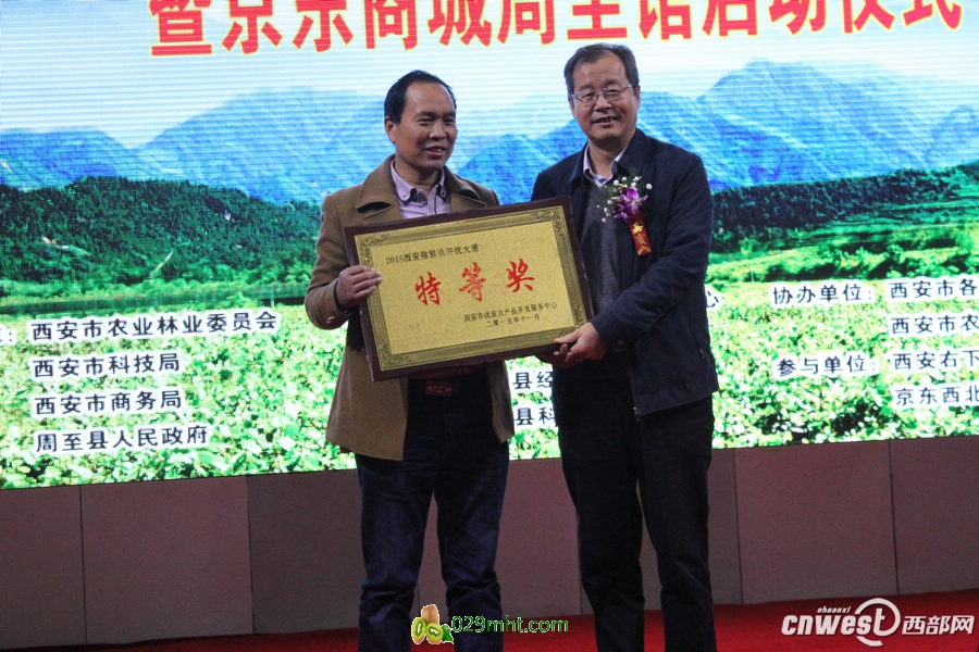 PG国际官方网站图片