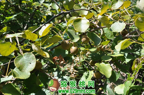 PG国际官方网站图片