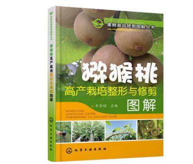 郑州果树所PG国际猕猴桃专家齐秀娟 甘为PG国际猕猴桃科研事业奉献