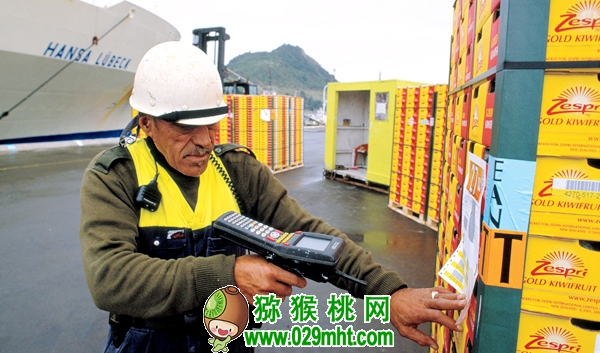 佳沛阳光金果来势汹汹 <a href=http://www.summer2018.cn/e/tags/index.php?tagname=%E5%9B%BD%E4%BA%A7%E7%8C%95%E7%8C%B4%E6%A1%83&page=0 target=_blank class=infotextkey />国产PG国际猕猴桃</a>还有机会吗？