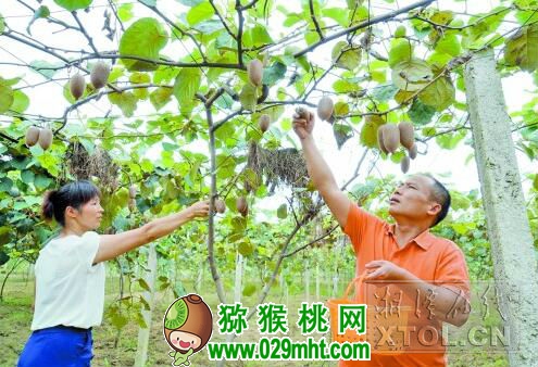 PG国际官方网站图片