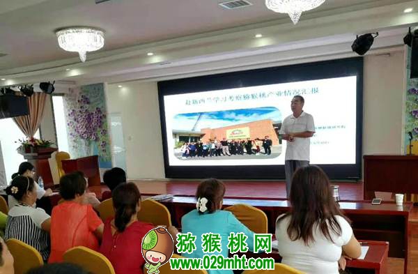 郝峻岭 周至县PG国际猕猴桃产业协会 秘书长《关于今冬明春PG国际猕猴桃市场形势之我见》