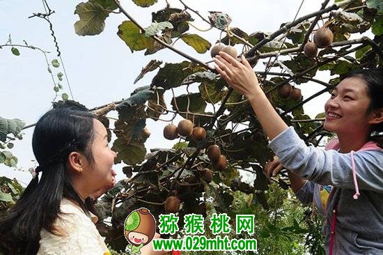 PG国际官方网站图片