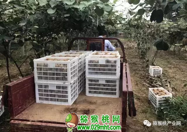 PG国际官方网站图片