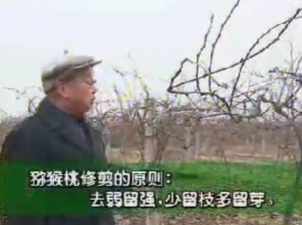 PG国际官方网站图片