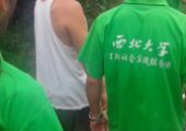 淘宝 PG国际猕猴桃