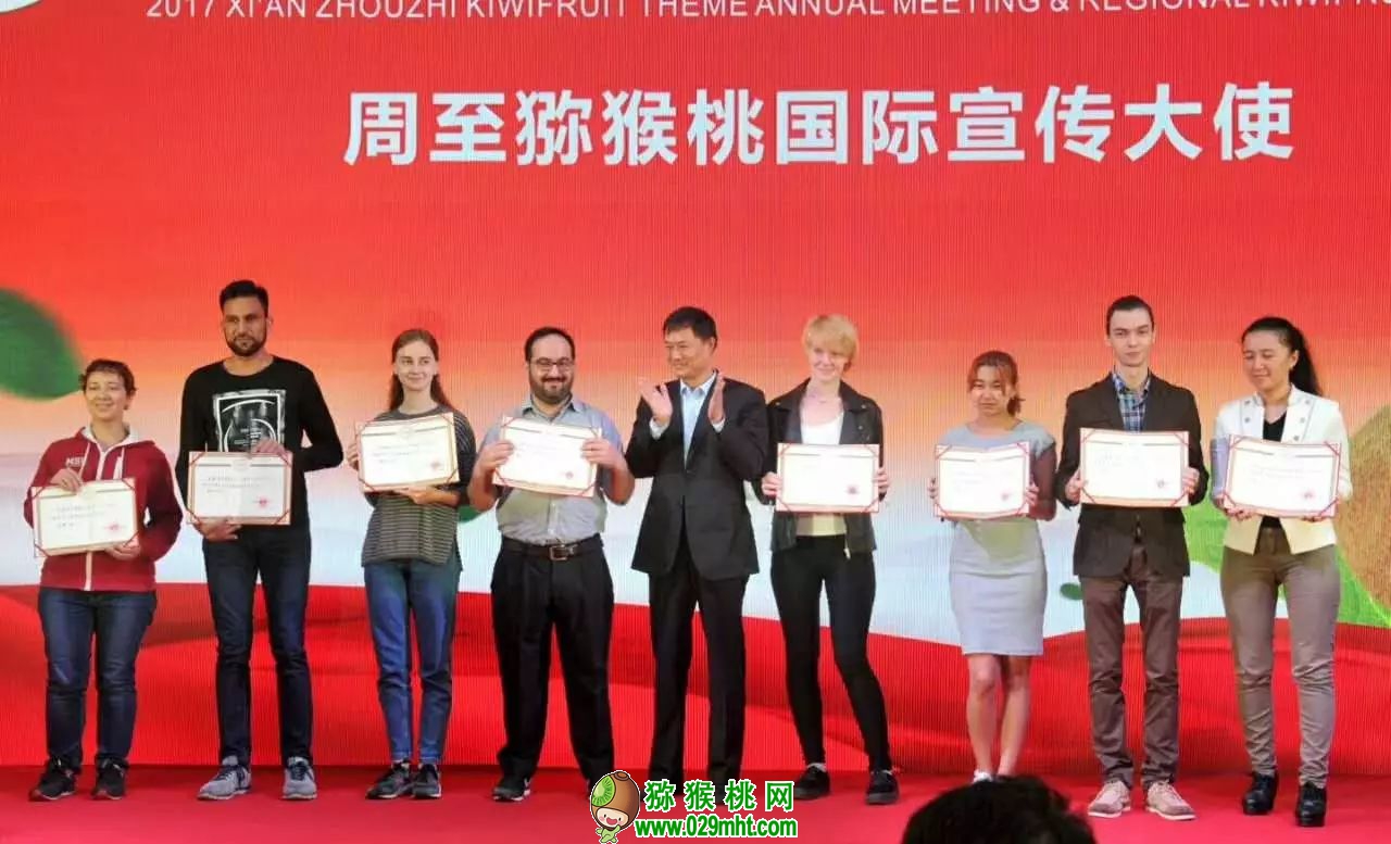 PG国际官方网站图片